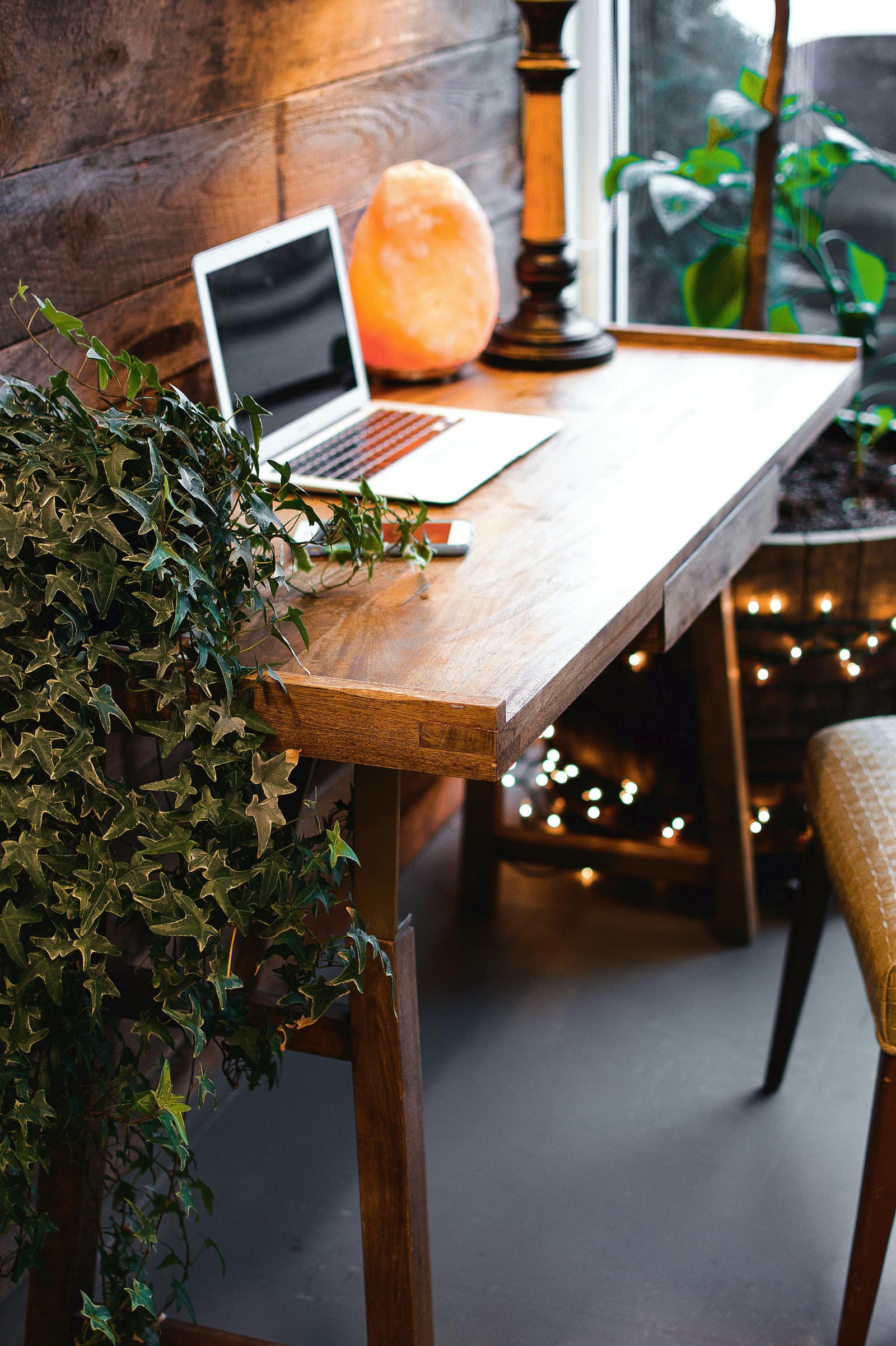 Warm wooden desk with a laptop and indoor plants